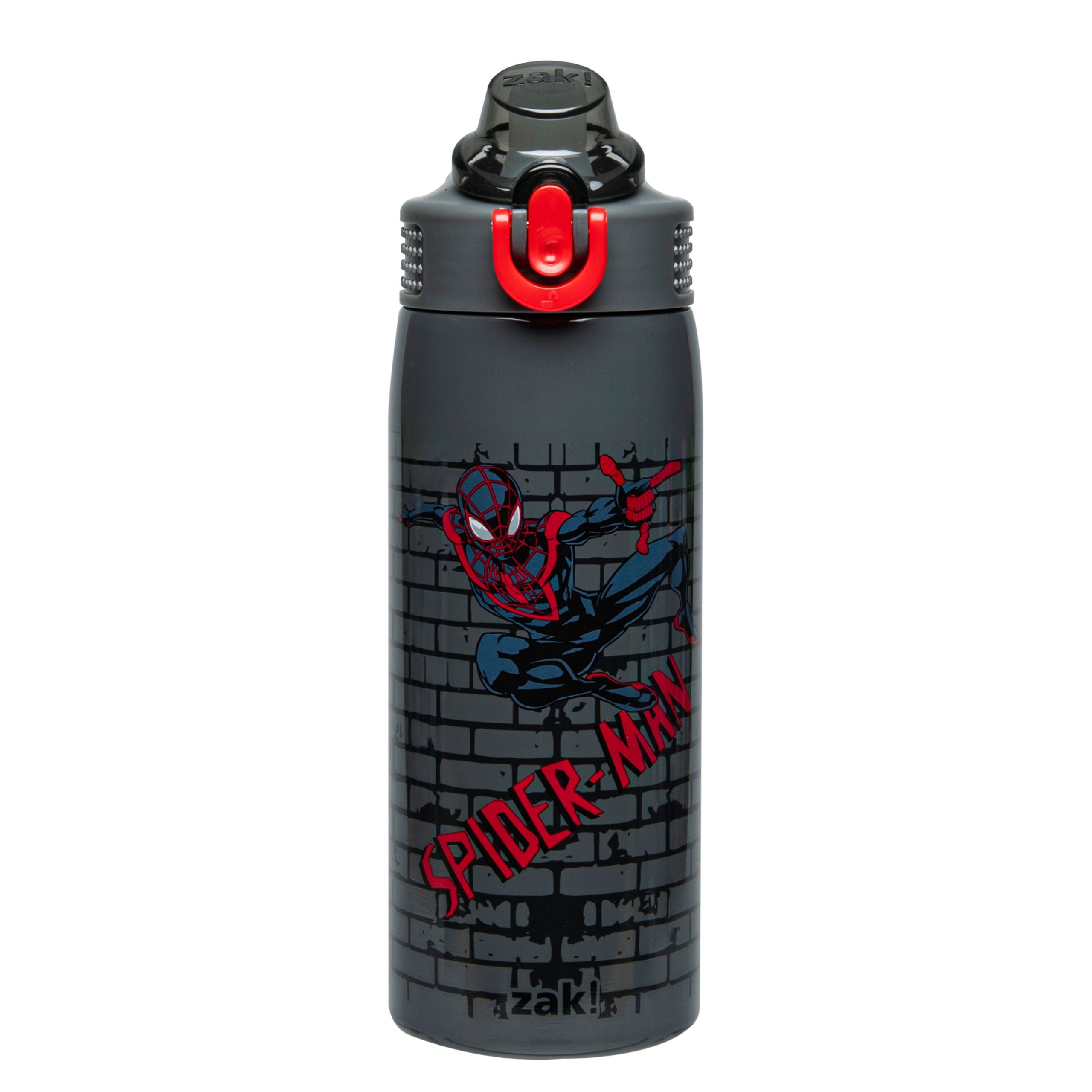 sage-ss-spiderman.1751993583576.jpg